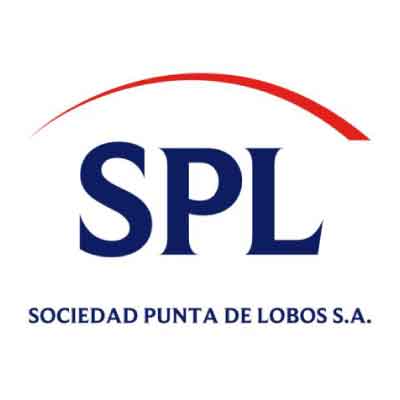 logo sociedad punta de lobos